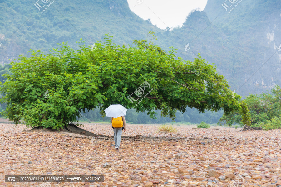 阳朔自然景观