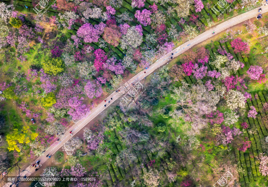 航拍梅花山