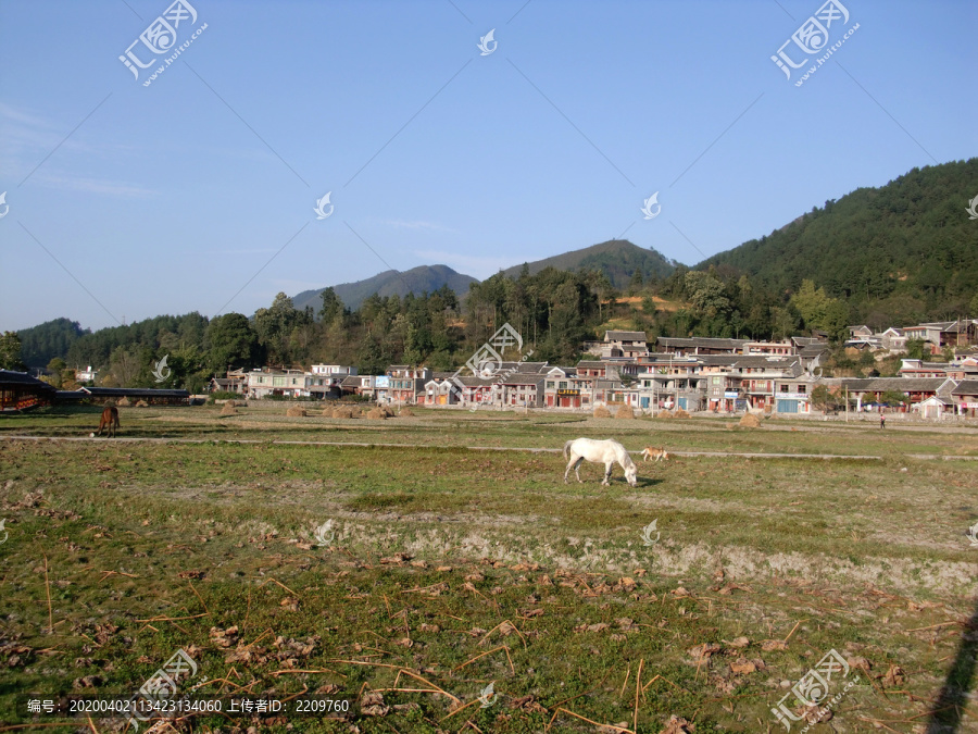 新型农村