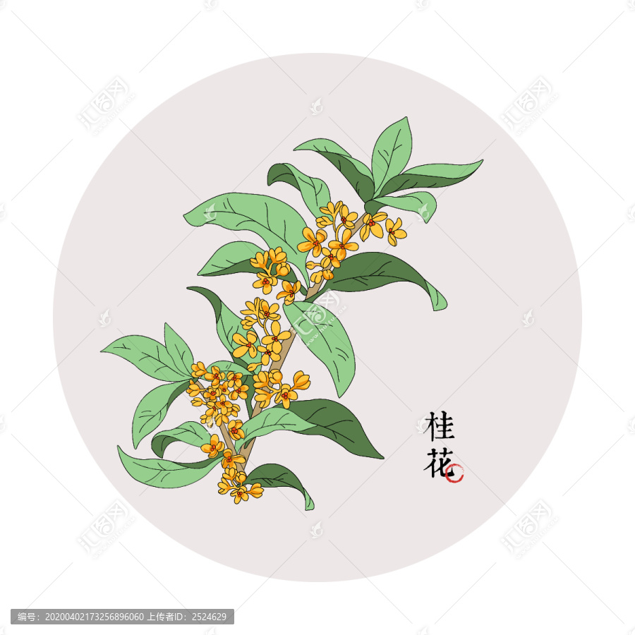 高清桂花元素