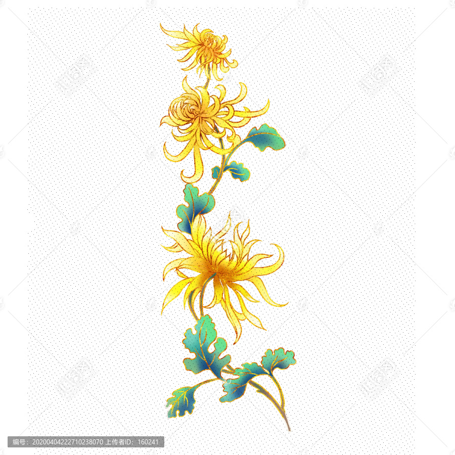 菊花花紋圖案