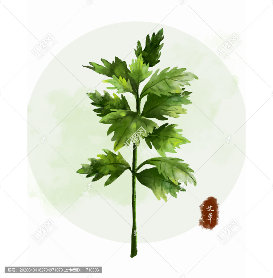 艾草