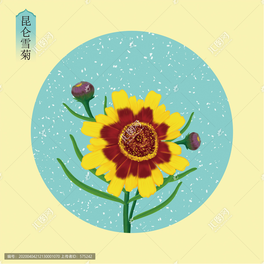 手繪雪菊