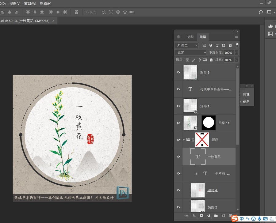 中草藥植物一枝黃花