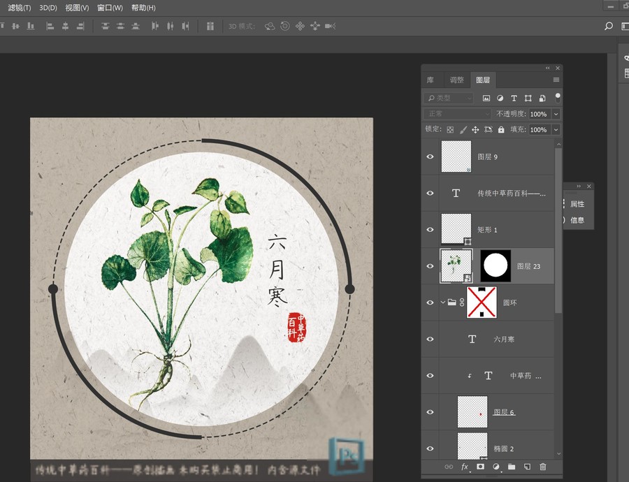 中草藥植物六月寒
