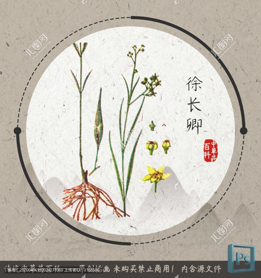 中草藥植物徐長卿