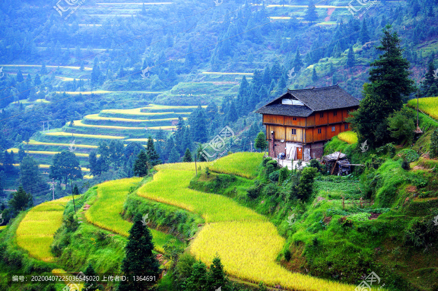 肇兴侗寨堂安梯田秋景