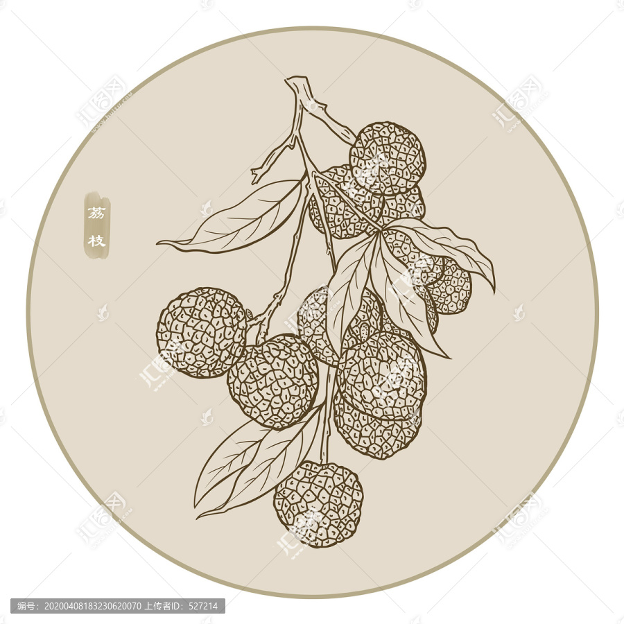線描荔枝