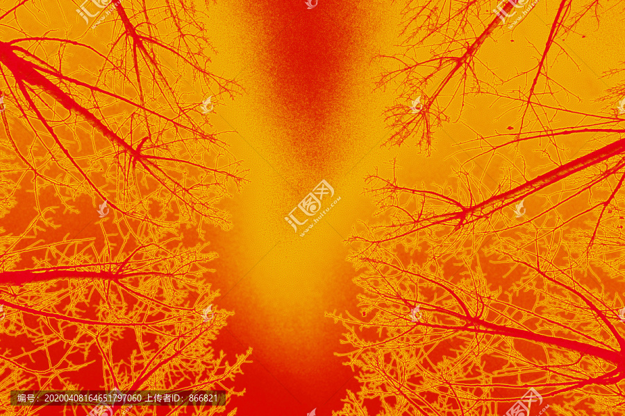 紅色樹梢
