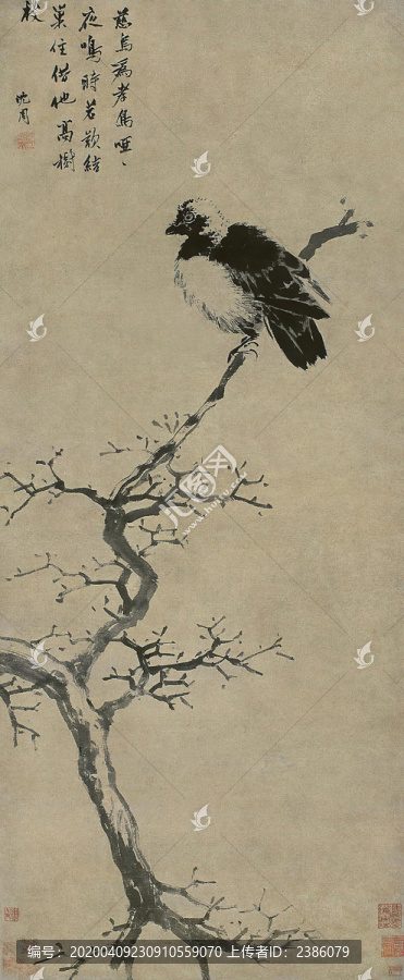 沈周高枝孝鳥圖