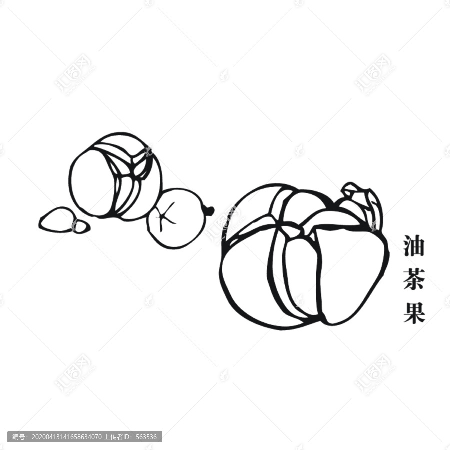油茶果