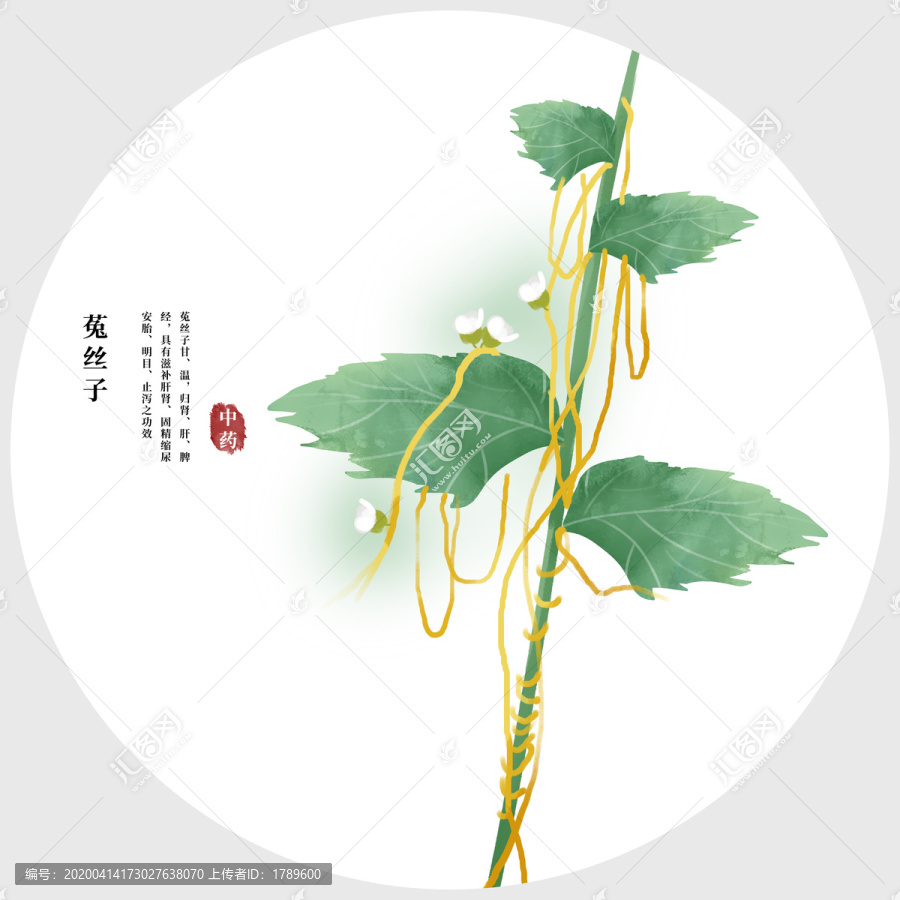 菟絲子
