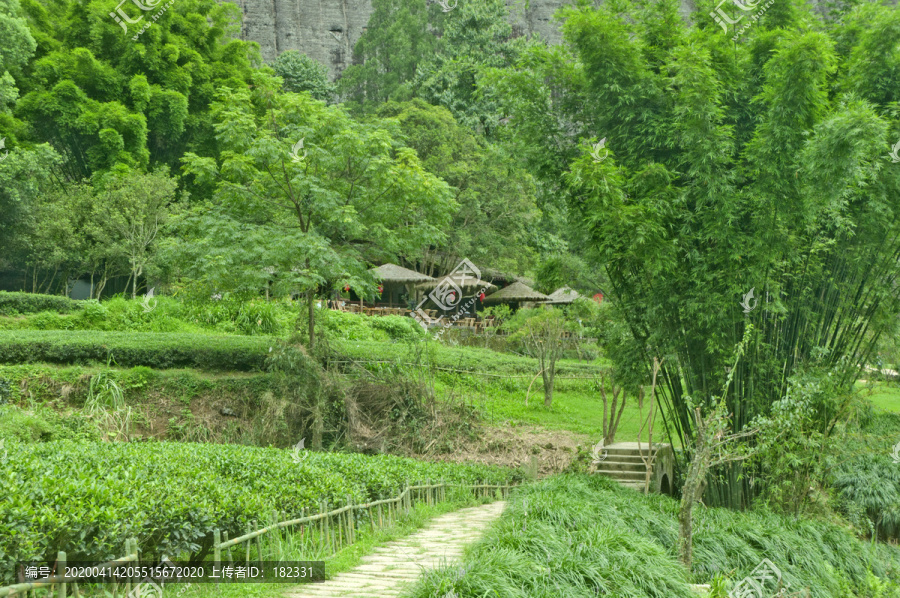 云窝茶室风景