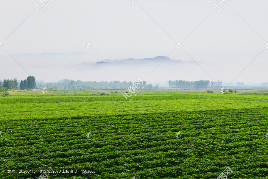 田园风景画