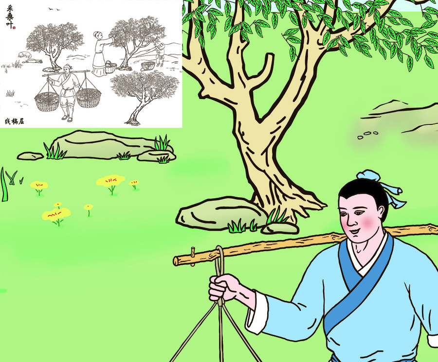古代勞動(dòng)場(chǎng)景手繪采桑葉