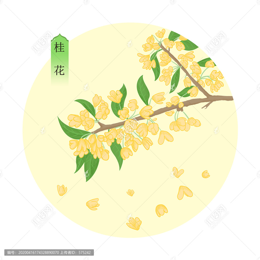 手繪桂花