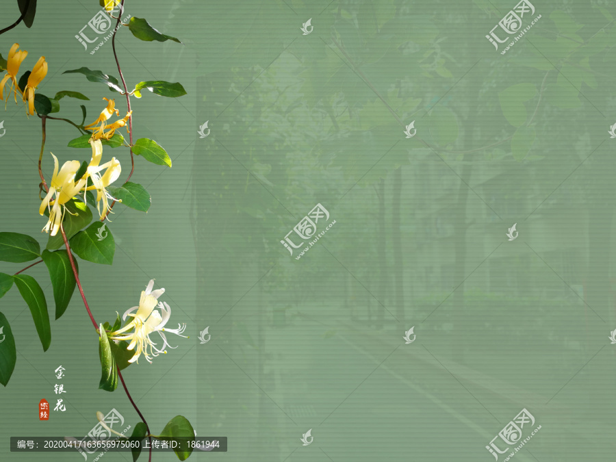 金銀花