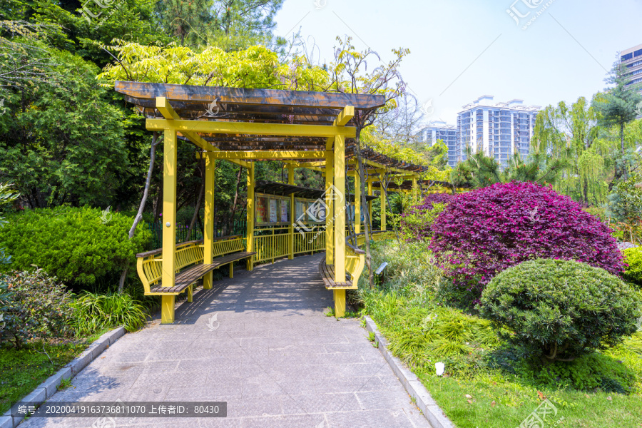 長風(fēng)公園紫藤架