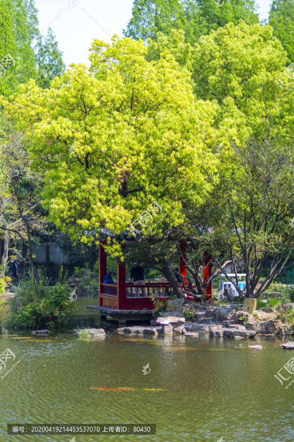 長風公園亭子
