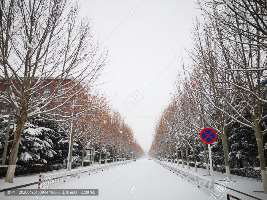 街道雪景