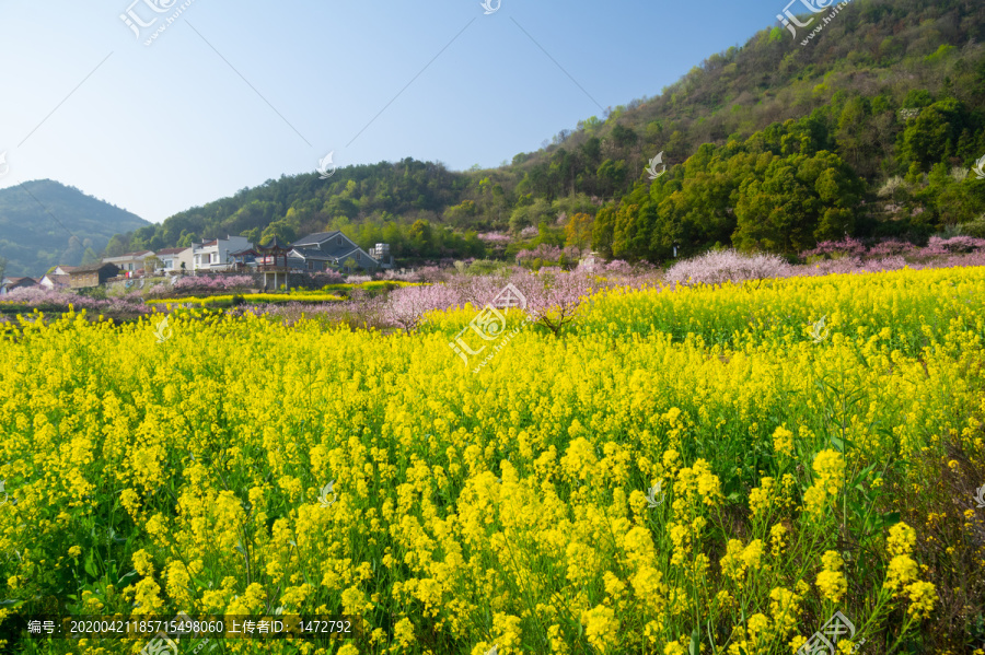 湖北黄石沼山森林公园春季风光