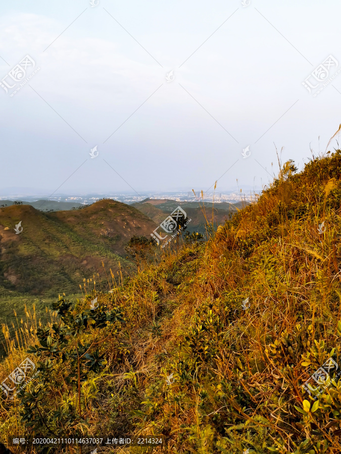 山顶风光