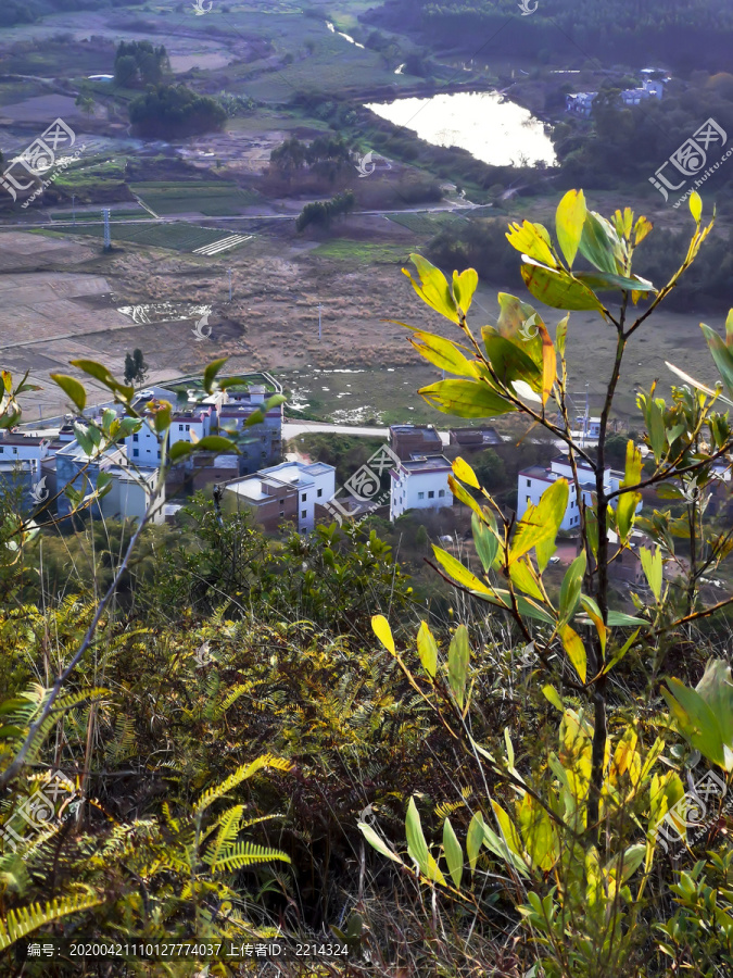 山顶风光