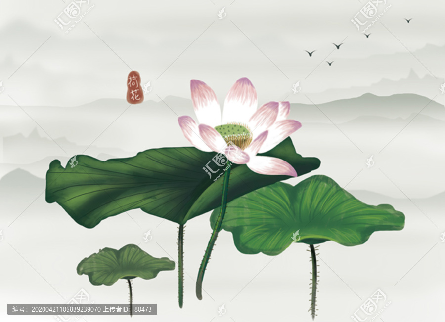 荷花插畫