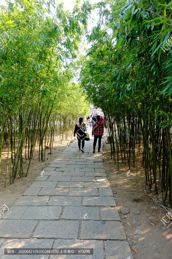 桃花涧竹林路