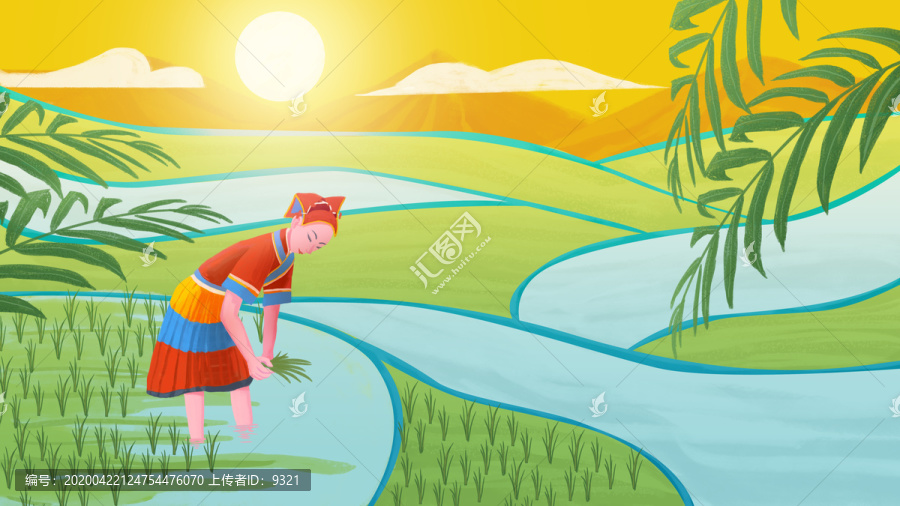 二十四節(jié)氣小滿插秧