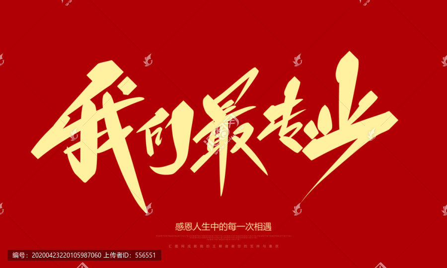 我們最專業(yè)