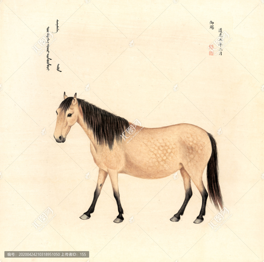 郎世寧八駿圖之黃駿