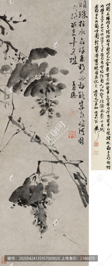 徐渭葡萄圖