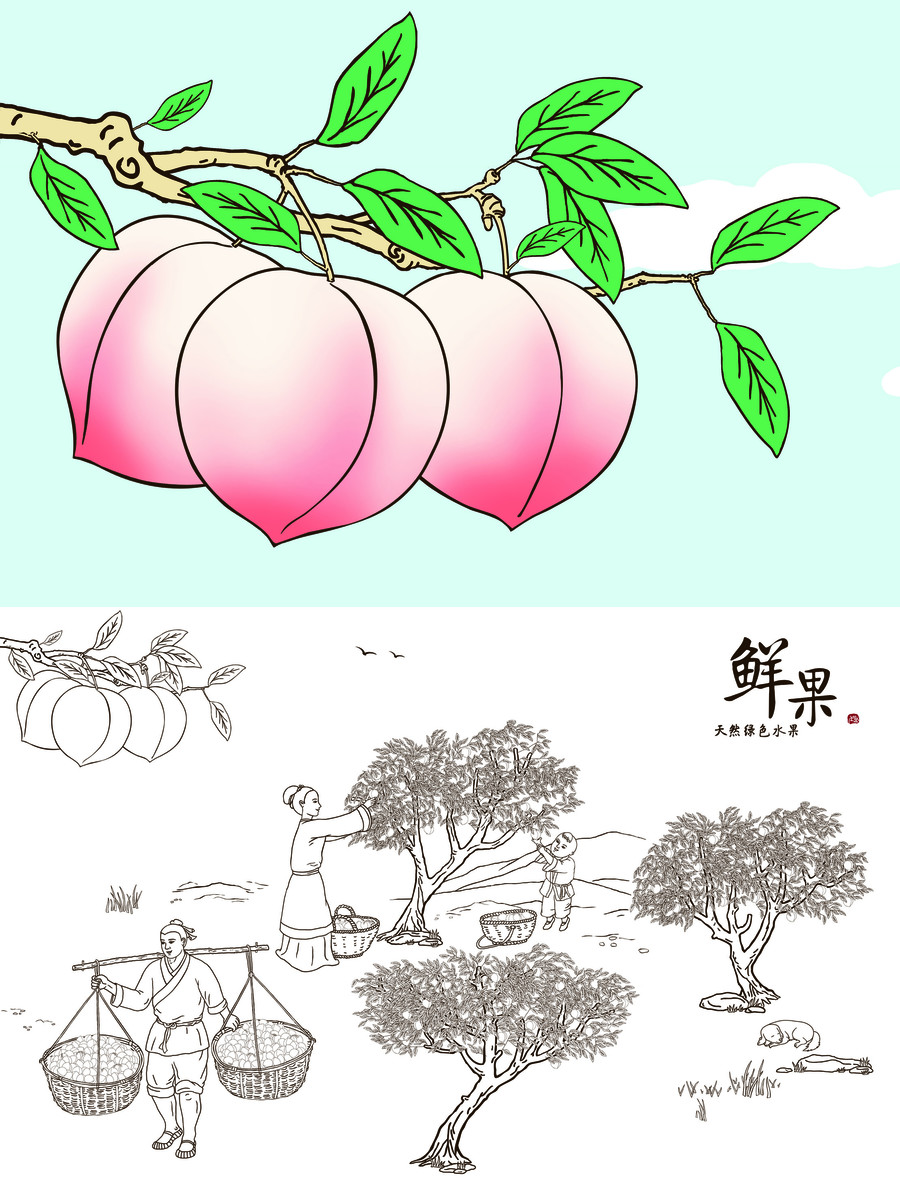 古代勞動場景手繪摘桃子