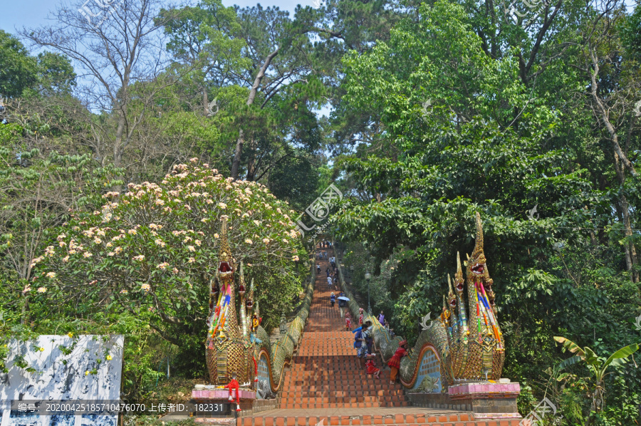 素贴山双龙寺登山路