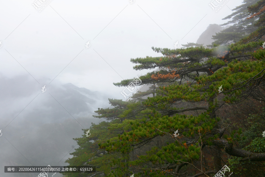 黄山