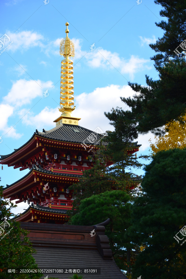 日本东京细野寺