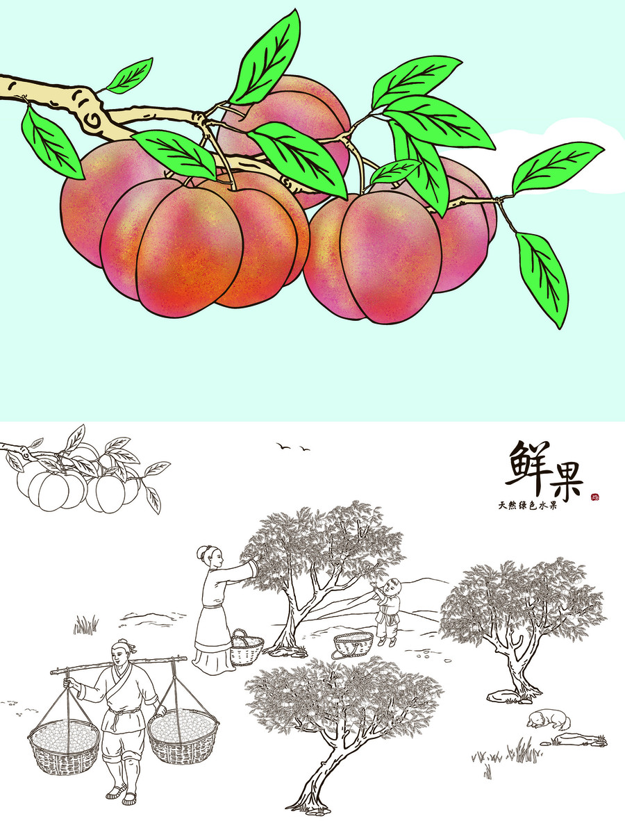 古代勞動(dòng)場(chǎng)景手繪摘李子