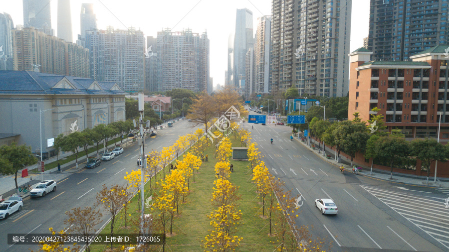 广州珠江公园金穗路航拍