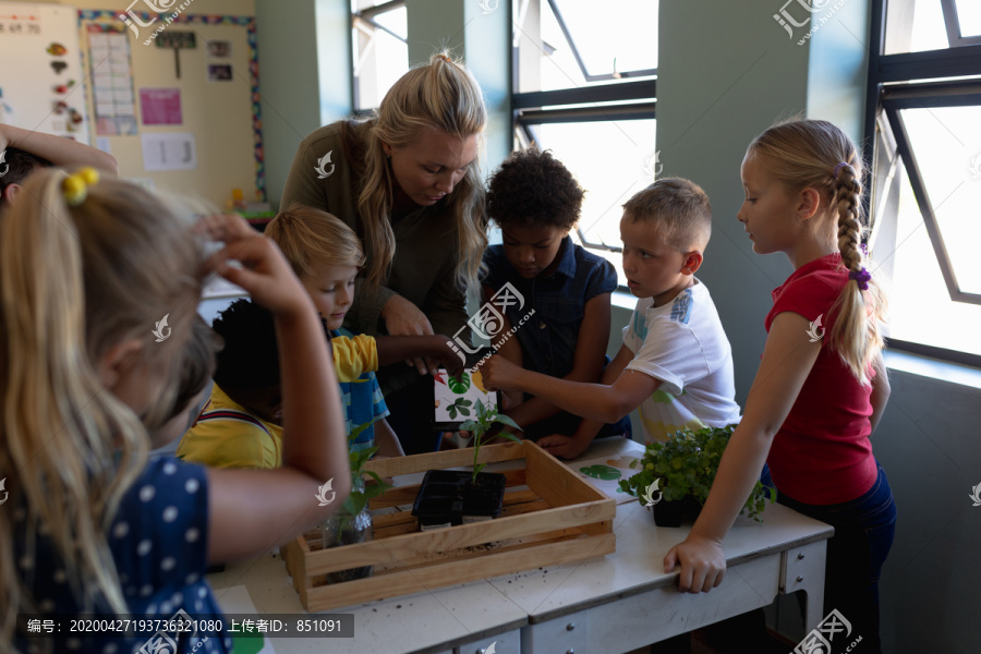 国外小学生们课堂学习