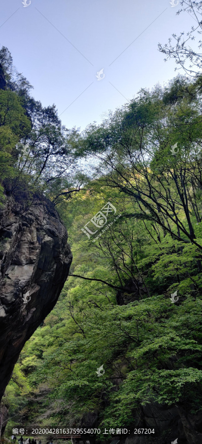 秦岭山风光