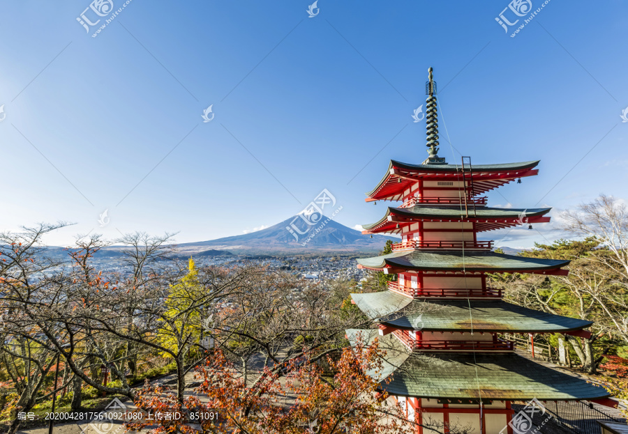 日本山梨县荒山森根公园