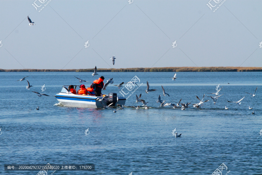 海上冲浪B