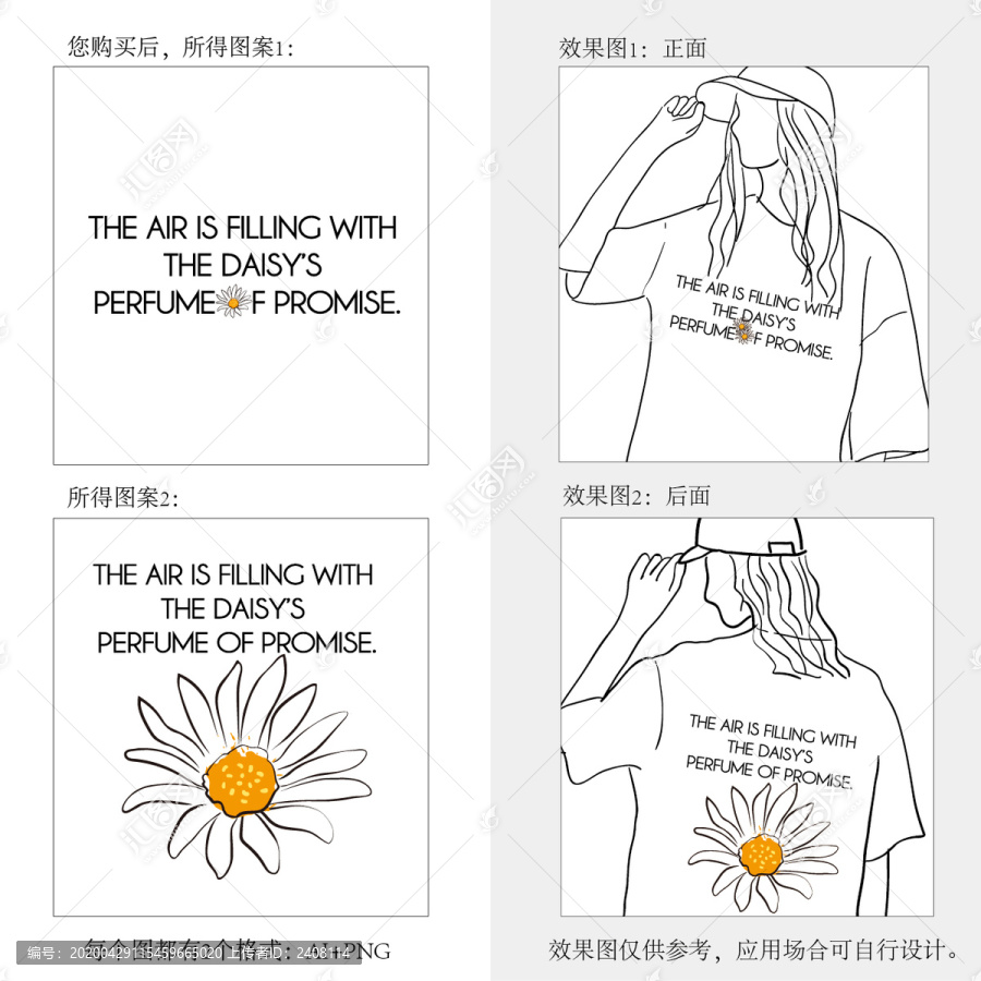 芳香雛菊