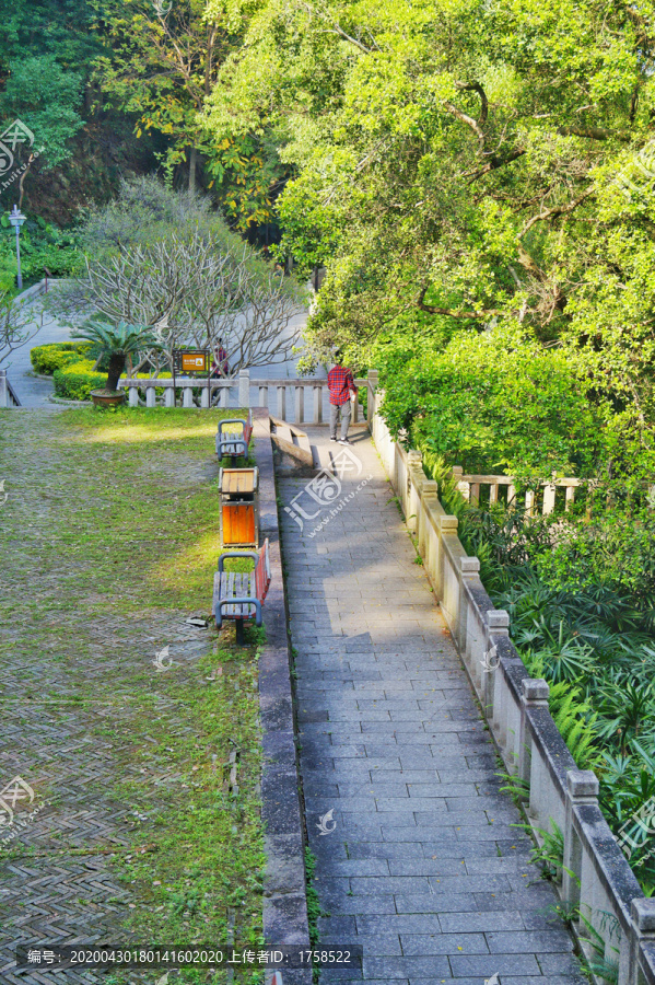 福州乌山风景