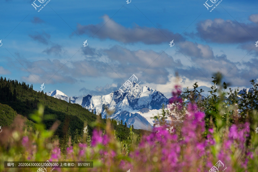 夏季阿拉斯加风景如画的山脉