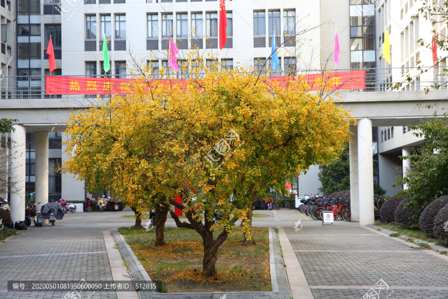 矿业大学