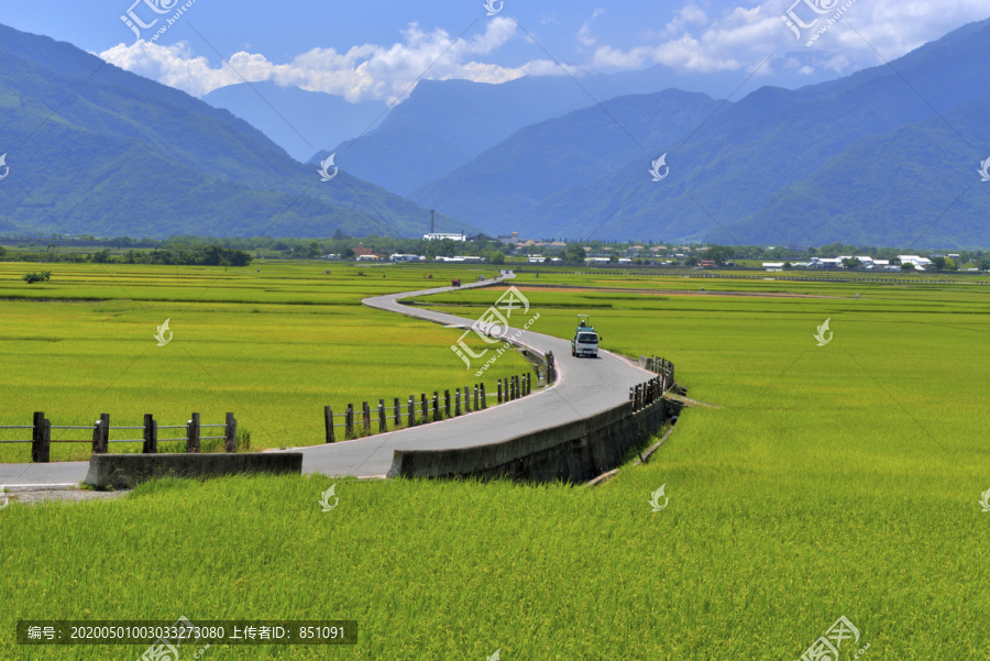 台湾布朗大道