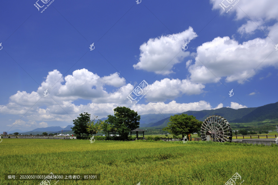 台湾布朗大道