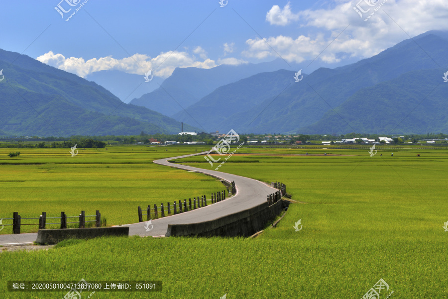 台湾布朗大道